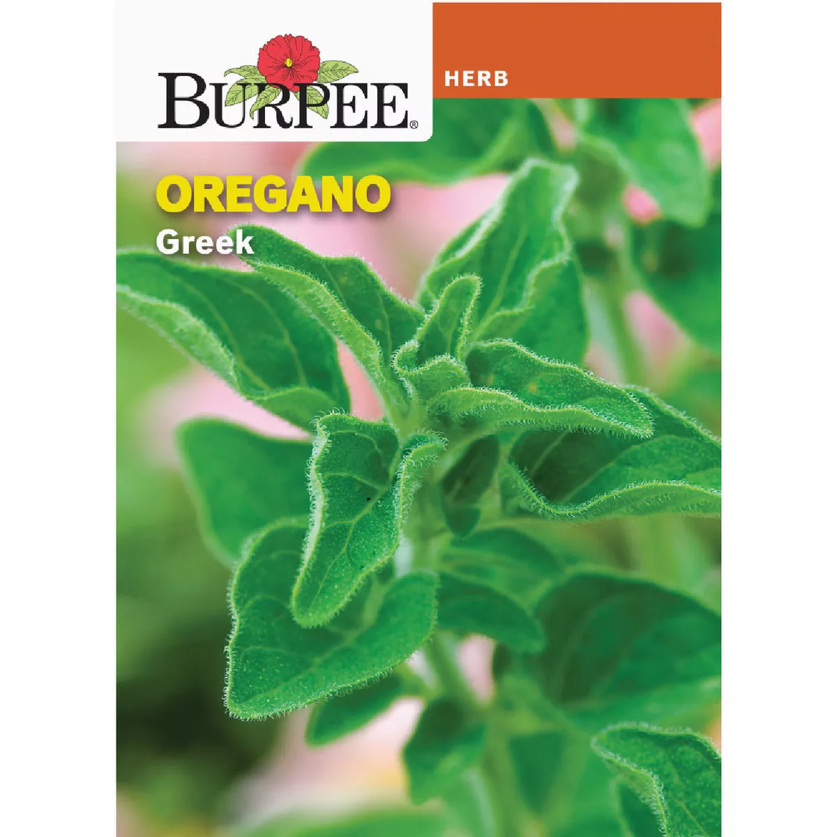 Burpee Oregano Greek Seed Packet