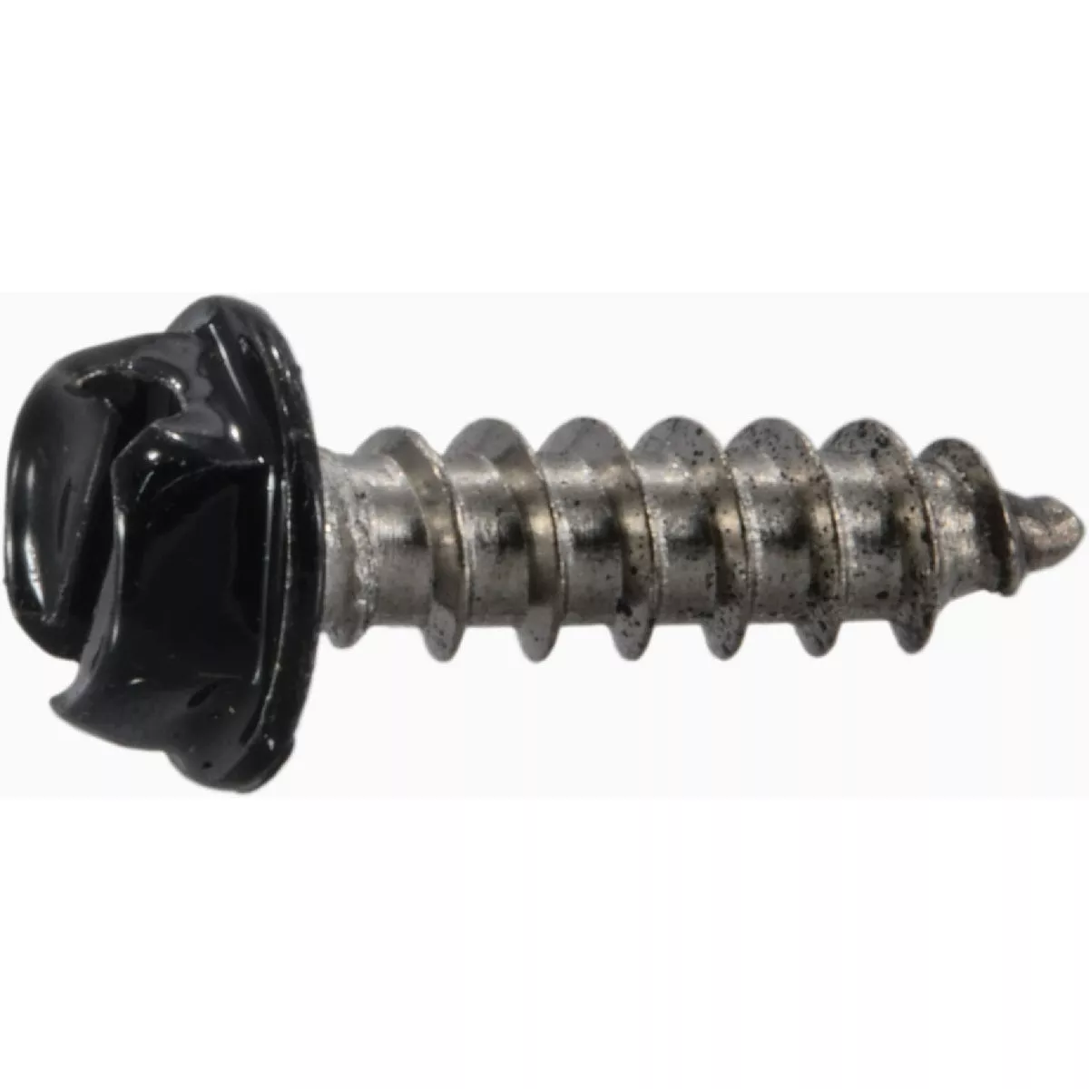 Midwest Fastener #8 x 5/8 In. Black Painted 18-8 Stainless Steel Hex Washer Head Sheet Metal Screws (1 Ct.)-