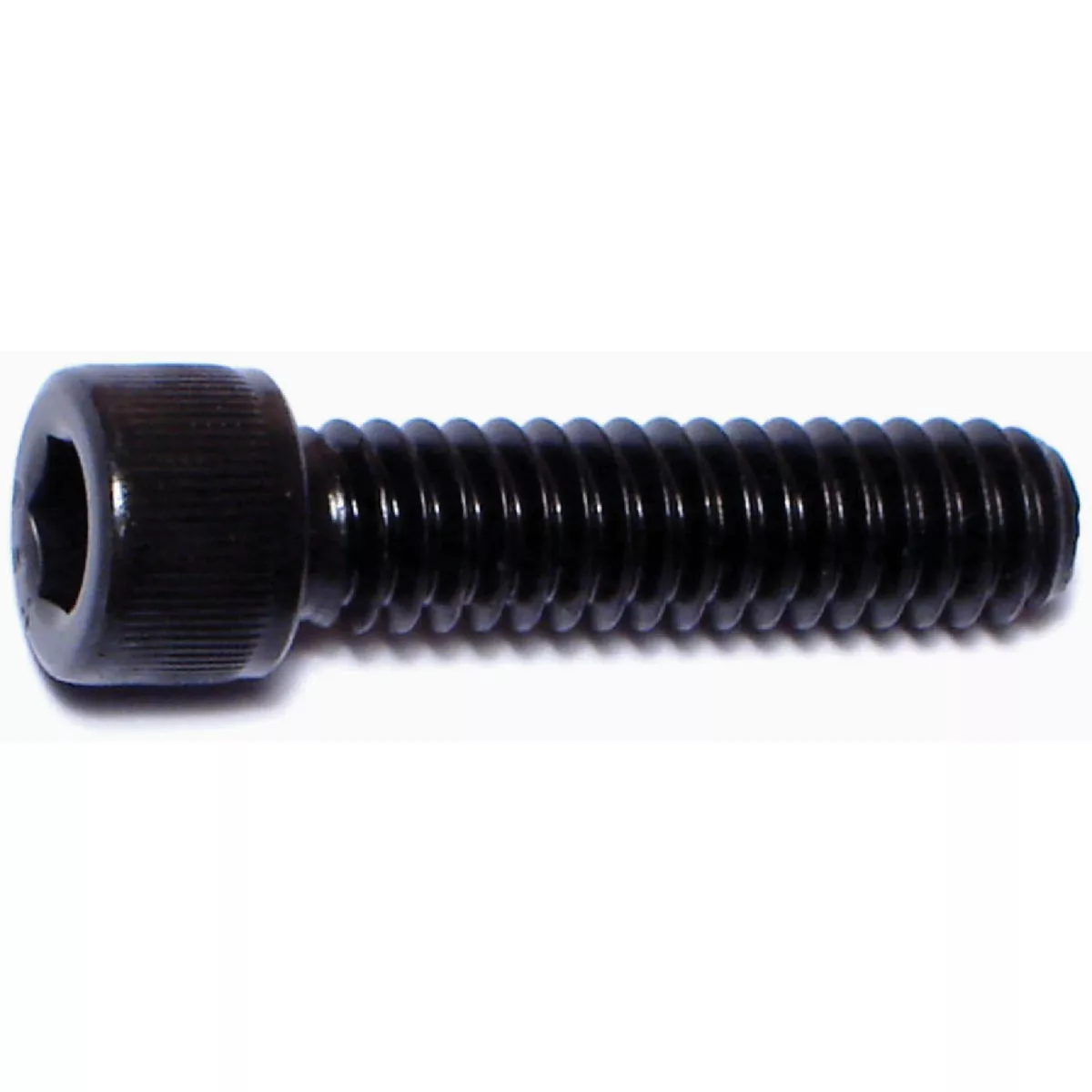 Midwest Fastener 1/4 In.-20 x 1 In. Plain Steel Coarse Thread Socket Cap Screws (10 Ct.)