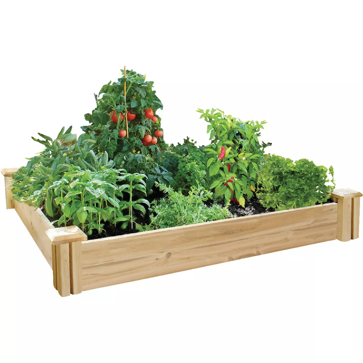 Greenes Fence 4 Ft. W. x 7 In. H. x 4 Ft. L. Stair Step Cedar Raised Garden System