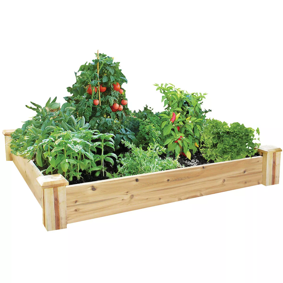 Greenes Fence 4 Ft. W. x 7 In. H. x 4 Ft. L. Stair Step Cedar Raised Garden System - photo 2