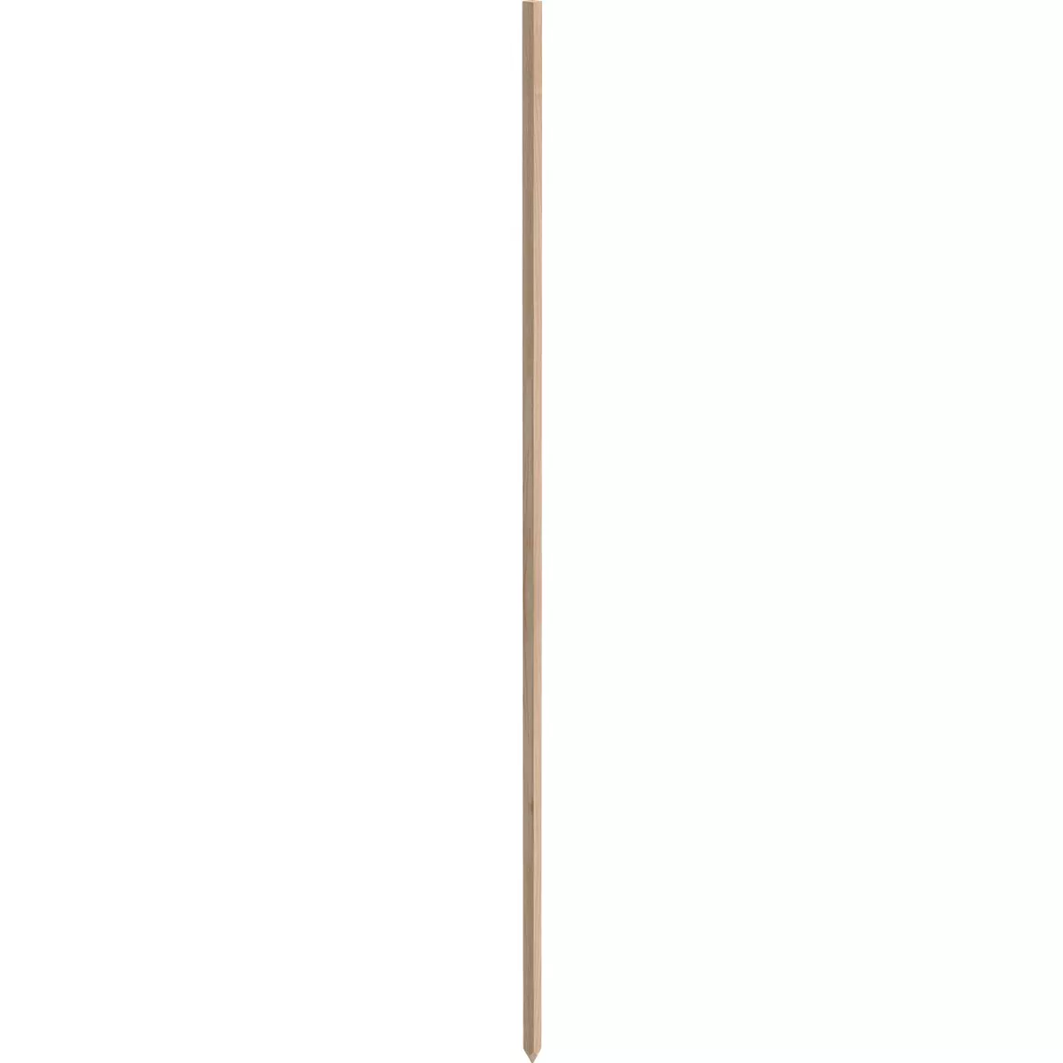 Greenes Fence 5 Ft. Wood Plant Stake