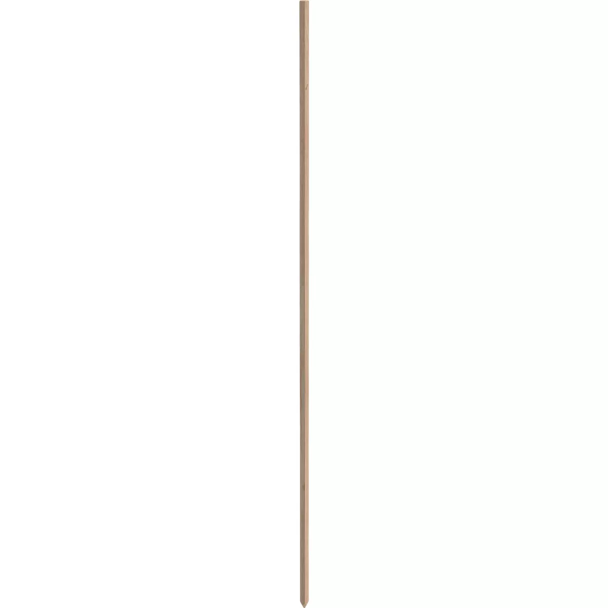 Greenes Fence 6 Ft. Wood Plant Stake