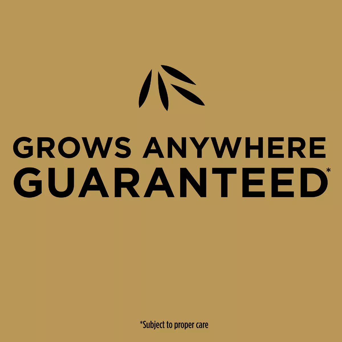 Scotts EZ Seed 20 Lb. 445 Sq. Ft. Patch & Repair For Tall Fescue Lawns Mulch, Seed and Fertilizer Combination - photo 4