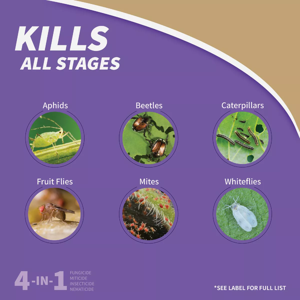 Bonide Captain Jack's Neem Max 16 Oz. Concentrate Cold Pressed Neem Oil Spray - photo 5