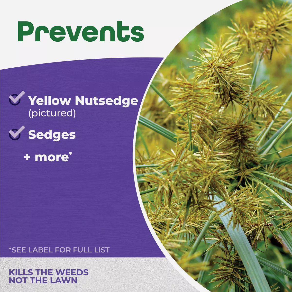 Bonide Sedge Ender 16 Oz. Concentrate Weed Killer - photo 5