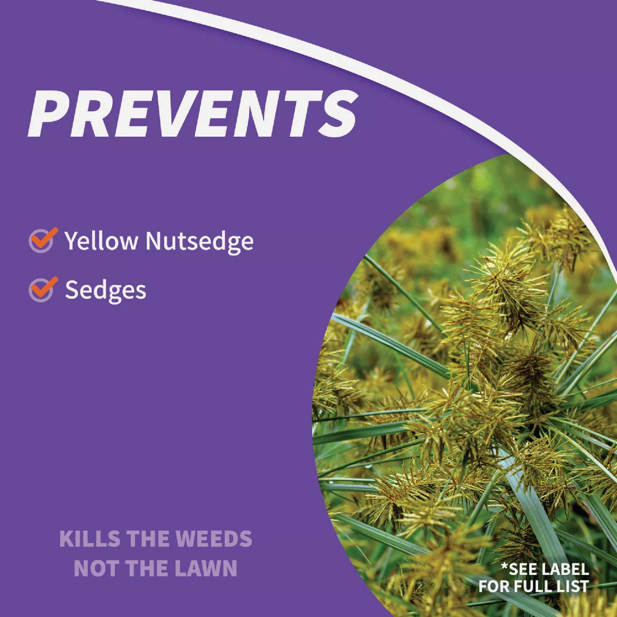Bonide Sedge Ender 16 Oz. Concentrate Weed Killer - photo 3