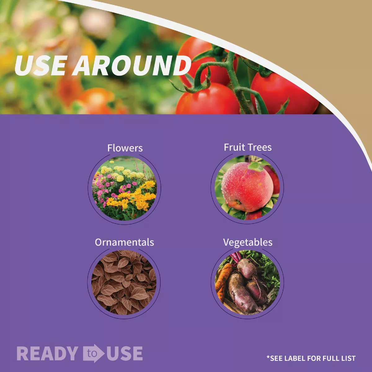 Bonide Bug Beater Disposable Indoor/Outdoor 50 Ft. Coverage Area Stink Bug Trap - photo 4