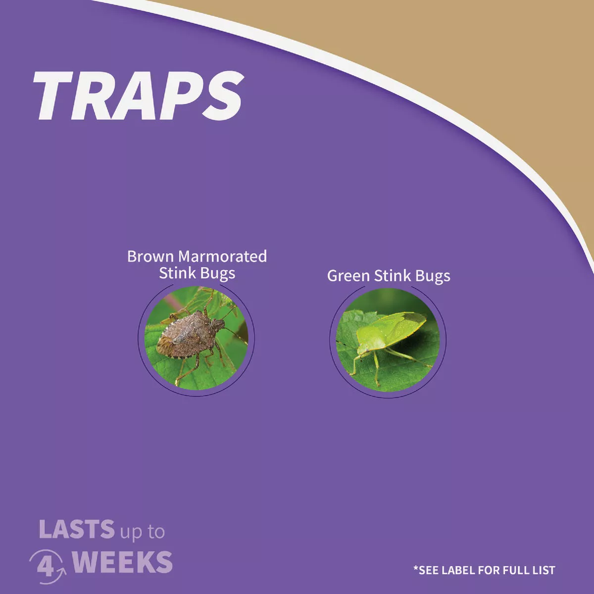 Bonide Bug Beater Disposable Indoor/Outdoor 50 Ft. Coverage Area Stink Bug Trap - photo 5