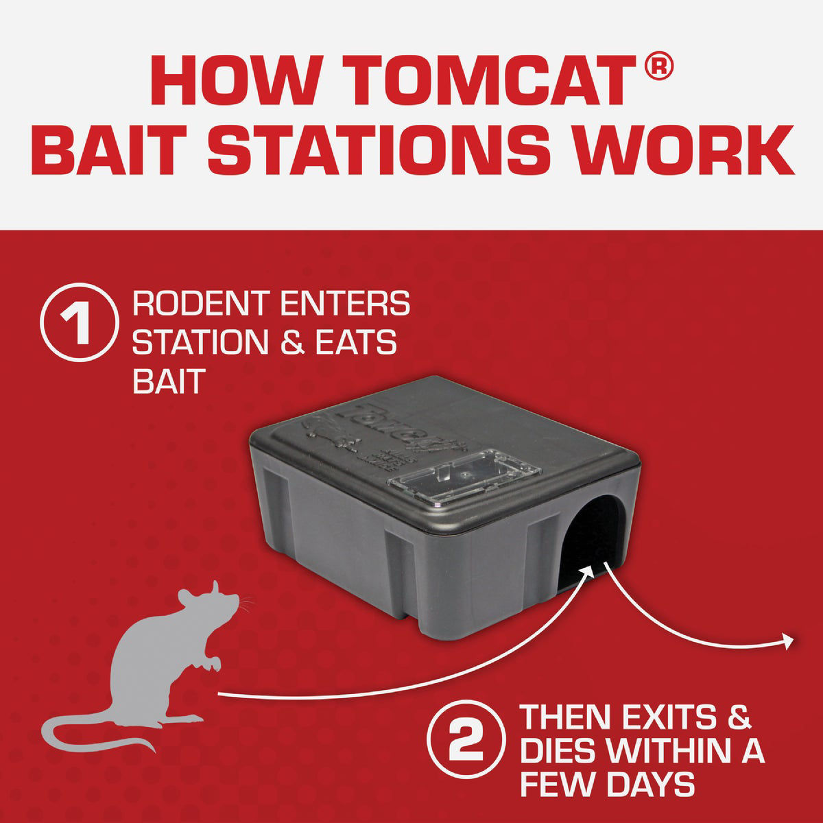 Tomcat refillable bait station rat mouse killer 15 refill do it best