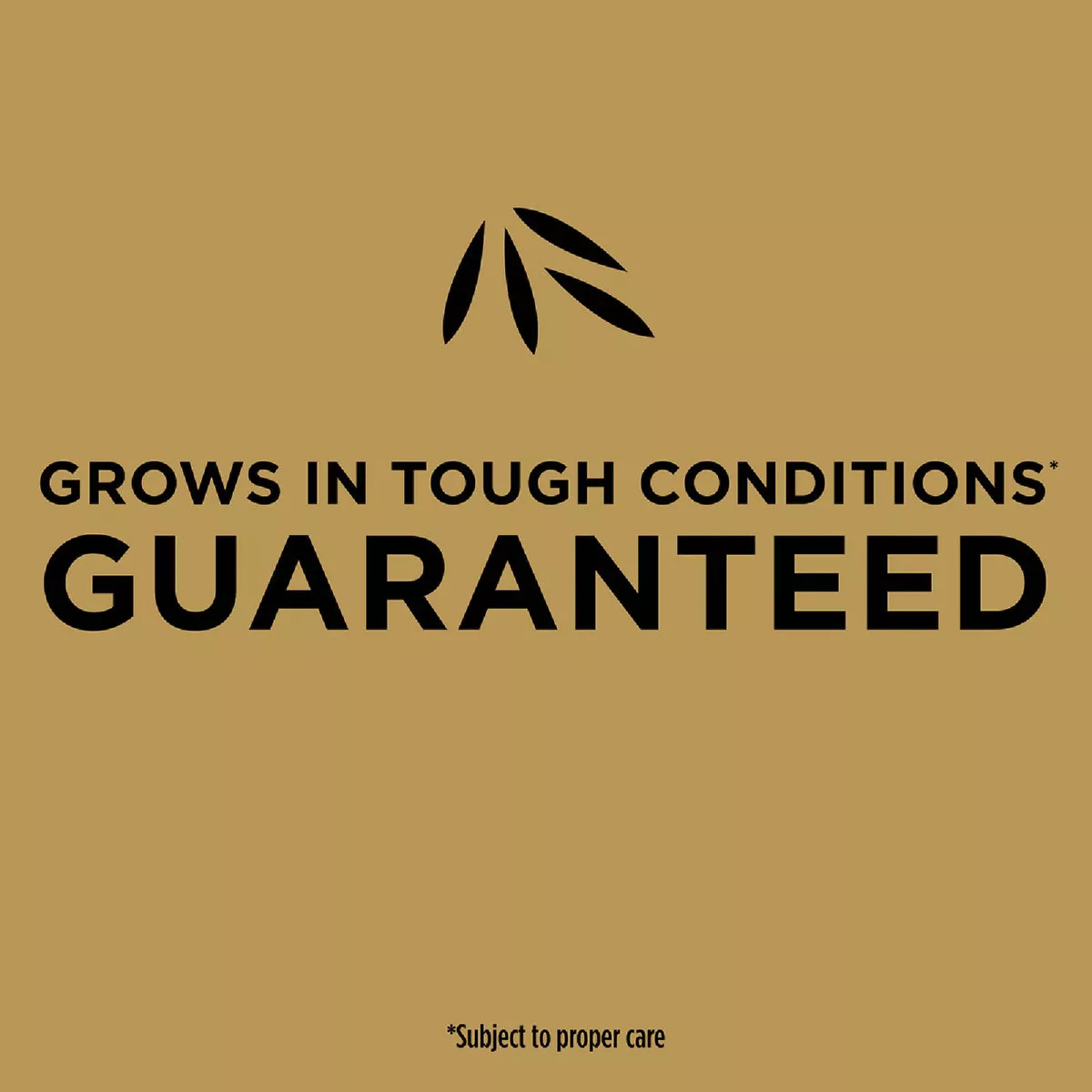 Scotts EZ Seed 3.75 Lb. 85 Sq. Ft. Patch & Repair for Bermudagrass Mulch, Seed and Fertilizer Combination - photo 3