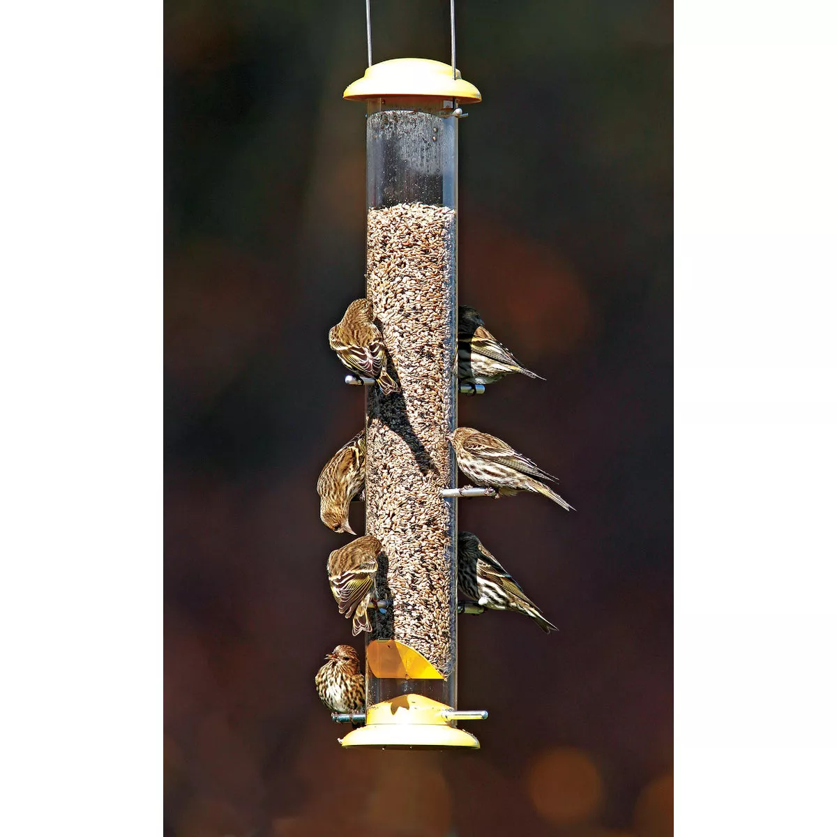 Stokes Select 19 In. 2 Lb. Capacity Yellow Finch Thistle Bird Feeder - photo 3