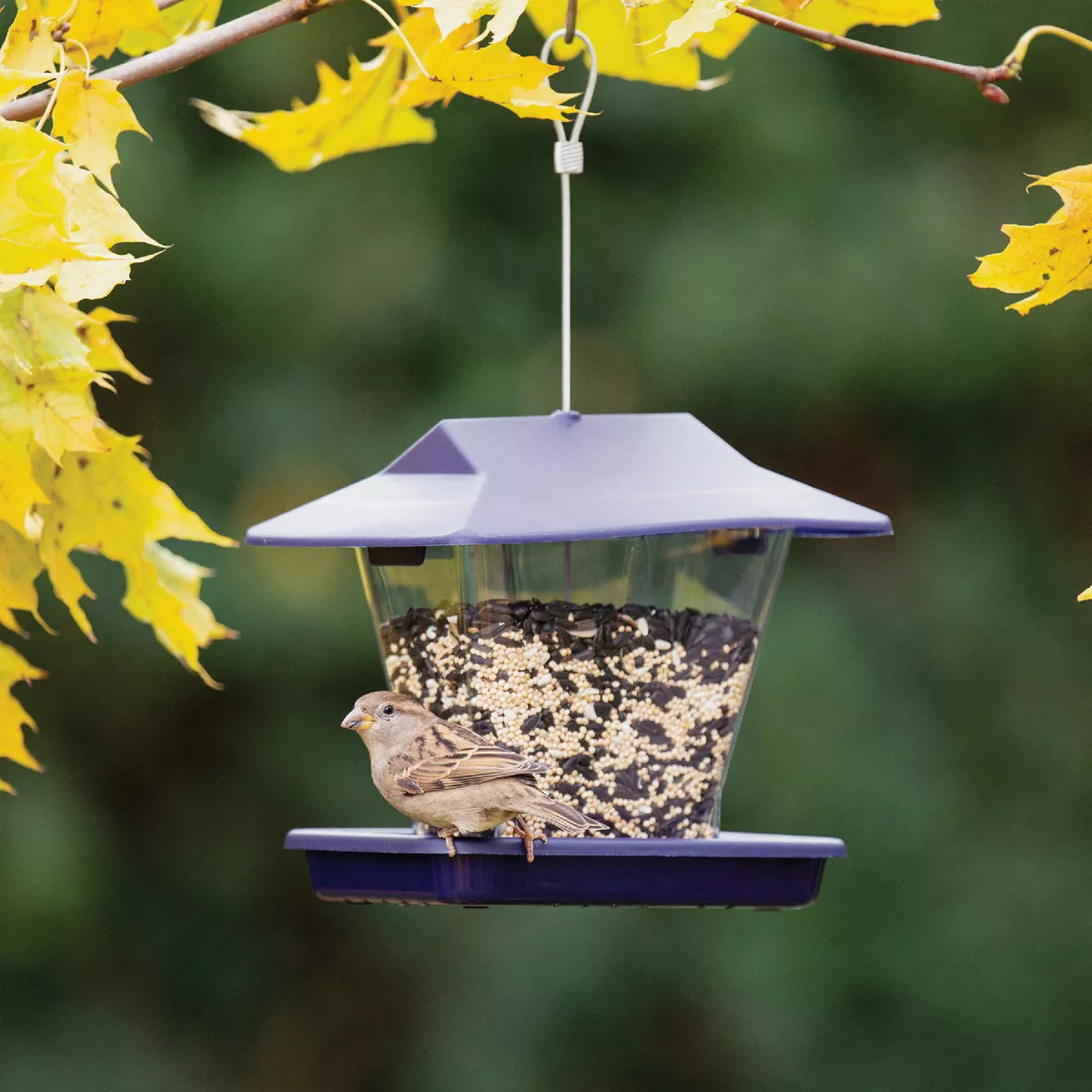 More Birds Plastic 1.7 Lb. Capacity Ranch Hopper Bird Feeder | True ...