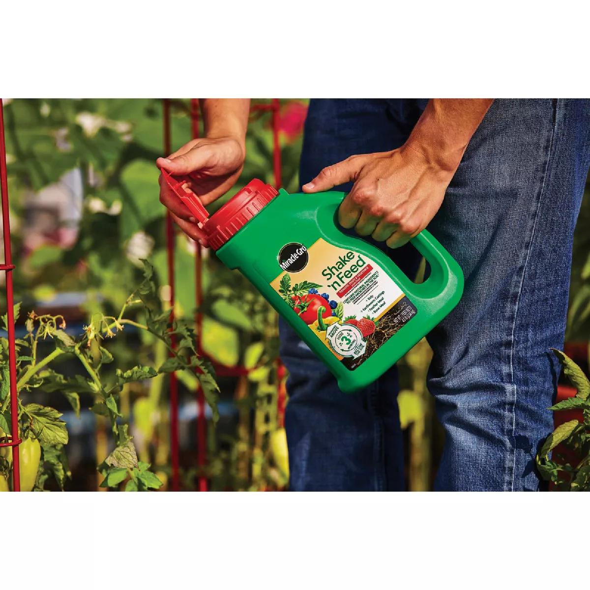 Miracle-Gro Shake 'n Feed 4.5 Lb. Tomato, Fruit & Vegetable Plant Food - photo 3