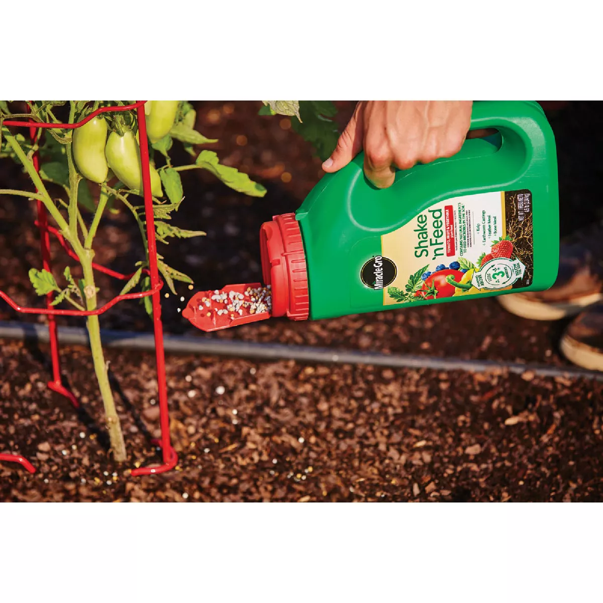 Miracle-Gro Shake 'n Feed 4.5 Lb. Tomato, Fruit & Vegetable Plant Food - photo 5