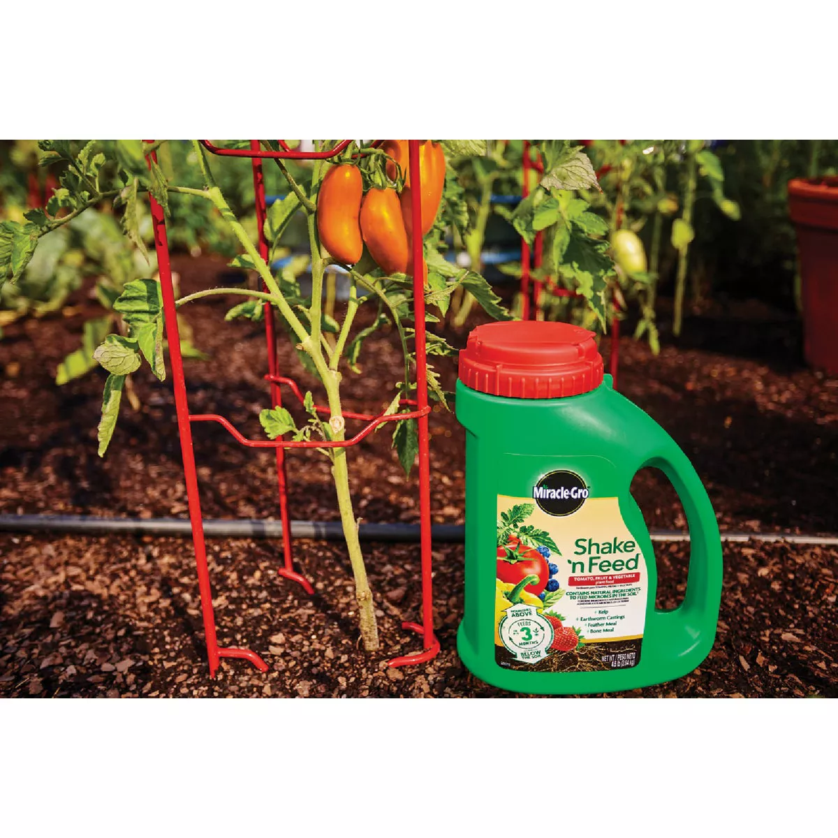 Miracle-Gro Shake 'n Feed 4.5 Lb. Tomato, Fruit & Vegetable Plant Food - photo 2