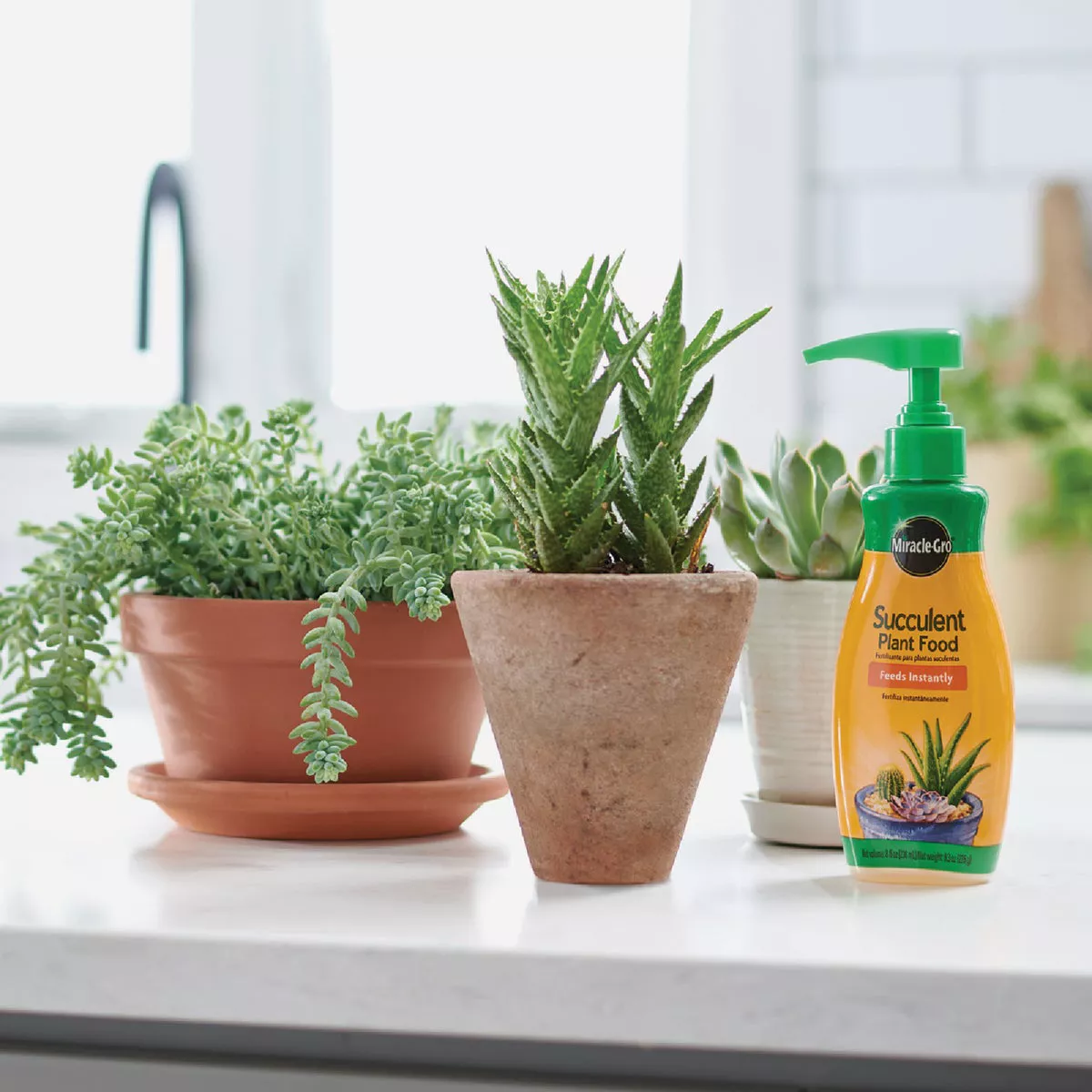 Miracle-Gro 8 Oz. Liquid Indoor Succulent Plant Food - photo 4
