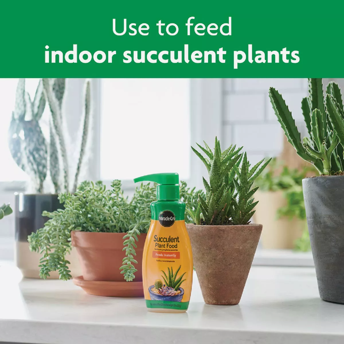 Miracle-Gro 8 Oz. Liquid Indoor Succulent Plant Food - photo 6