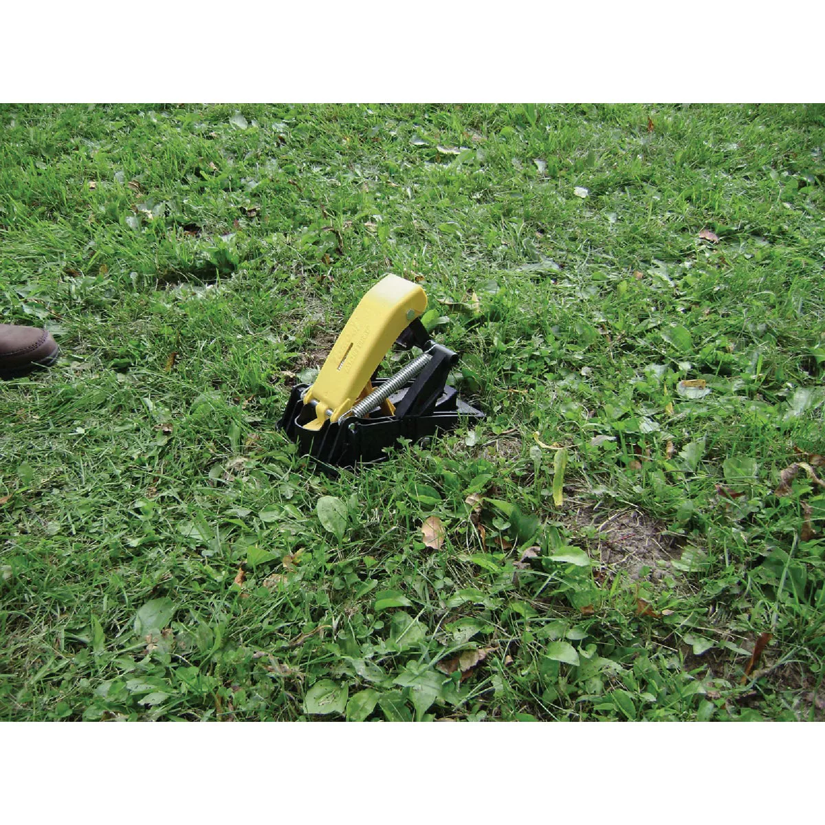 TOMCAT Protect Your Lawn Spring-Loaded Mole Trap - photo 7