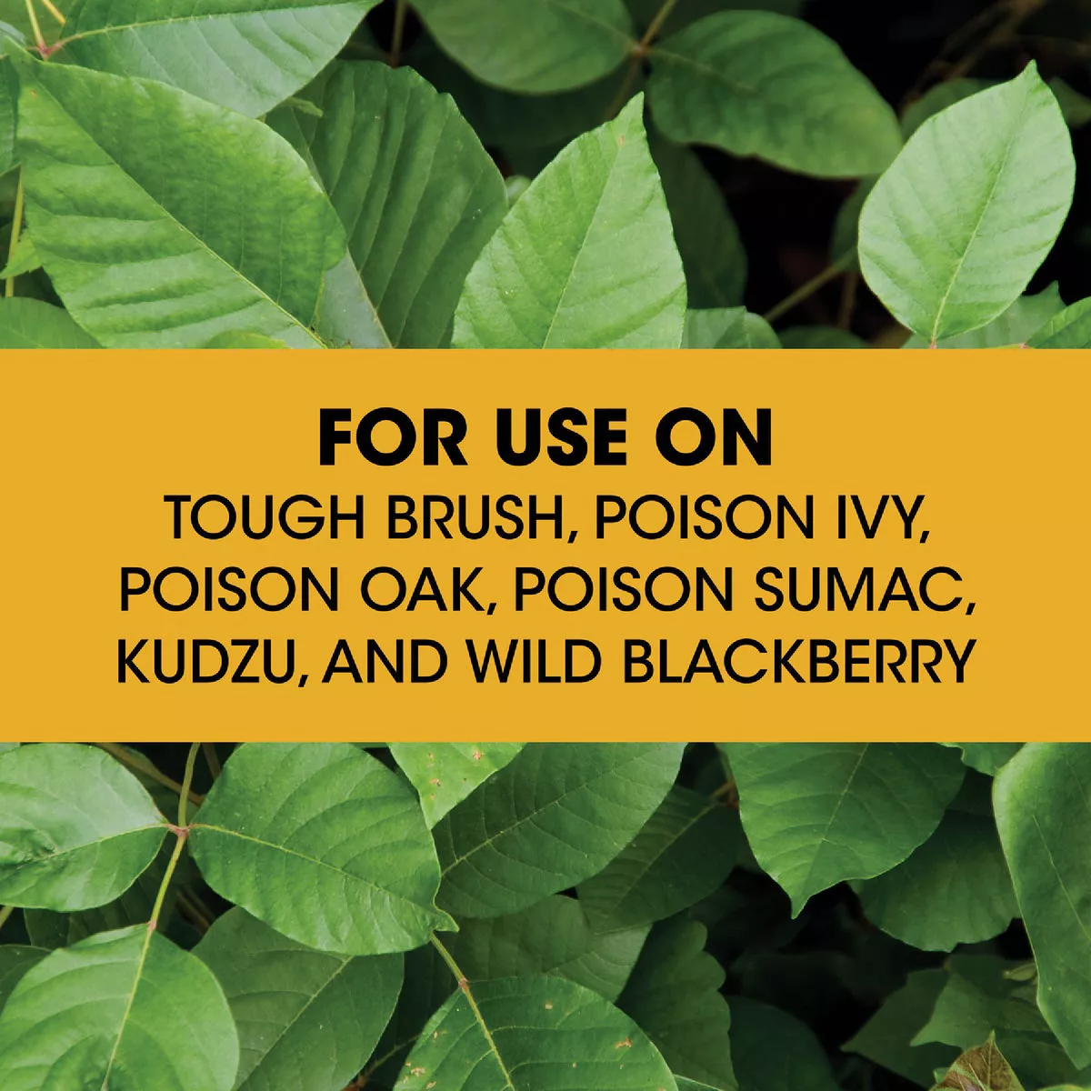 Roundup 1.33 Gal. Ready-To-Use Poison Oak & Ivy Plus Tough Brush Killer with Comfort Wand - photo 4