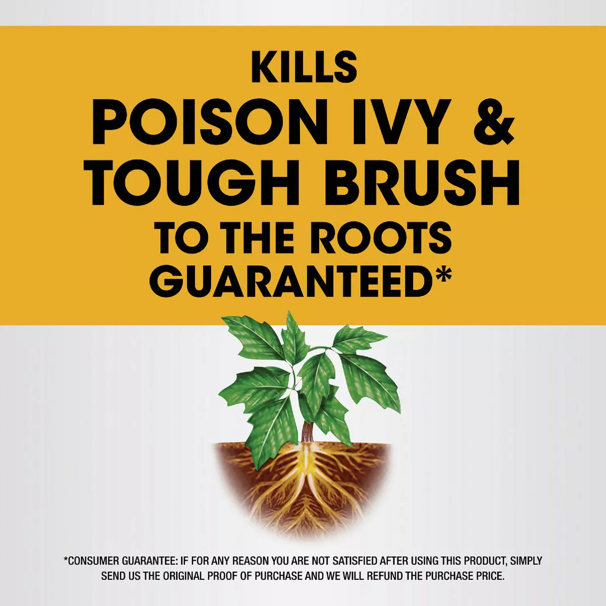 Roundup 1.33 Gal. Ready-To-Use Poison Oak & Ivy Plus Tough Brush Killer with Comfort Wand - photo 2
