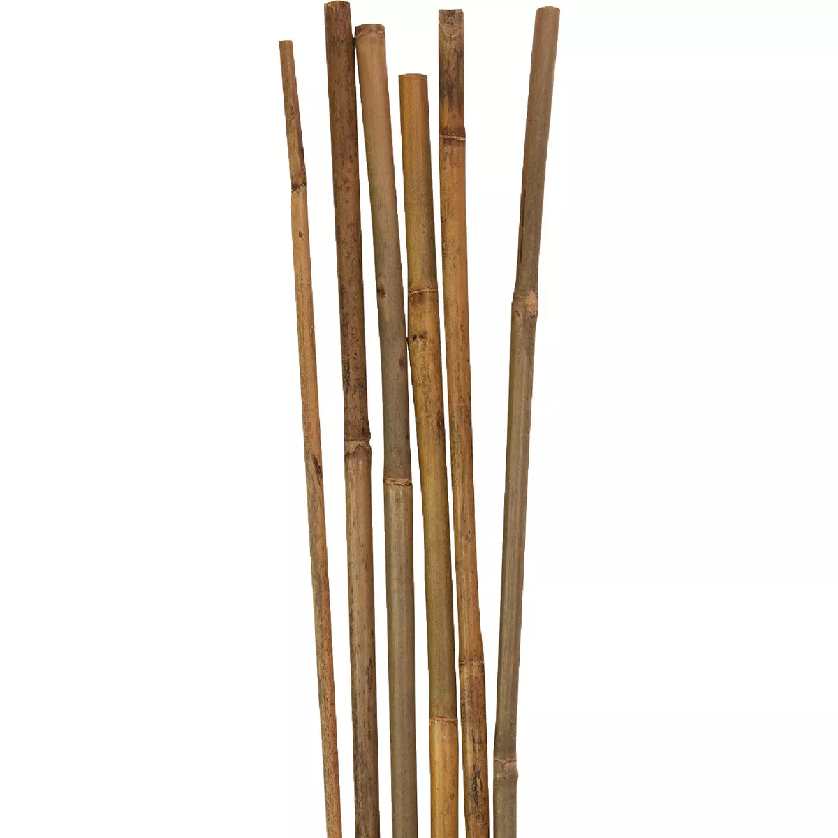 Gardener's Blue Ribbon 5 Ft. Natural Bamboo Heavy-Duty Plant Stake (6-Pack) - photo 3