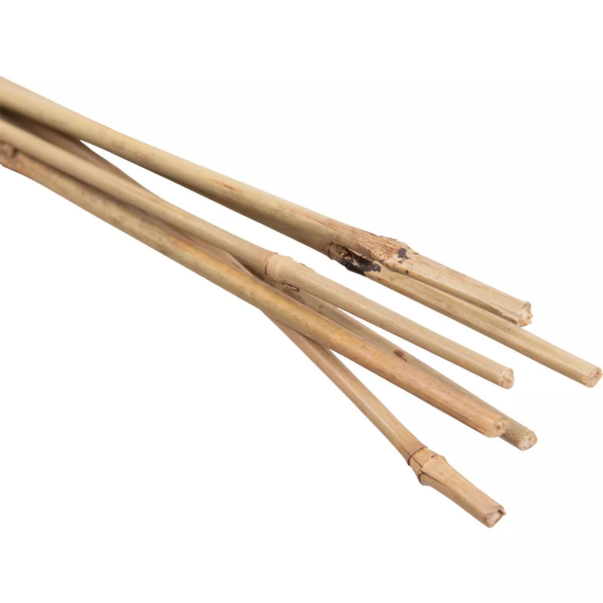 Gardener's Blue Ribbon 6 Ft. Natural Bamboo Heavy-Duty Plant Stake (6-Pack) - photo 2