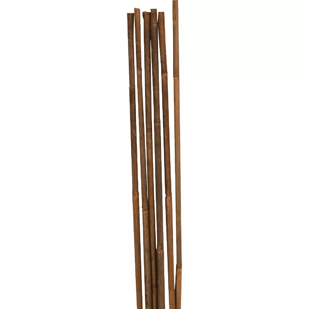 Gardener's Blue Ribbon 6 Ft. Natural Bamboo Heavy-Duty Plant Stake (6-Pack) - photo 3