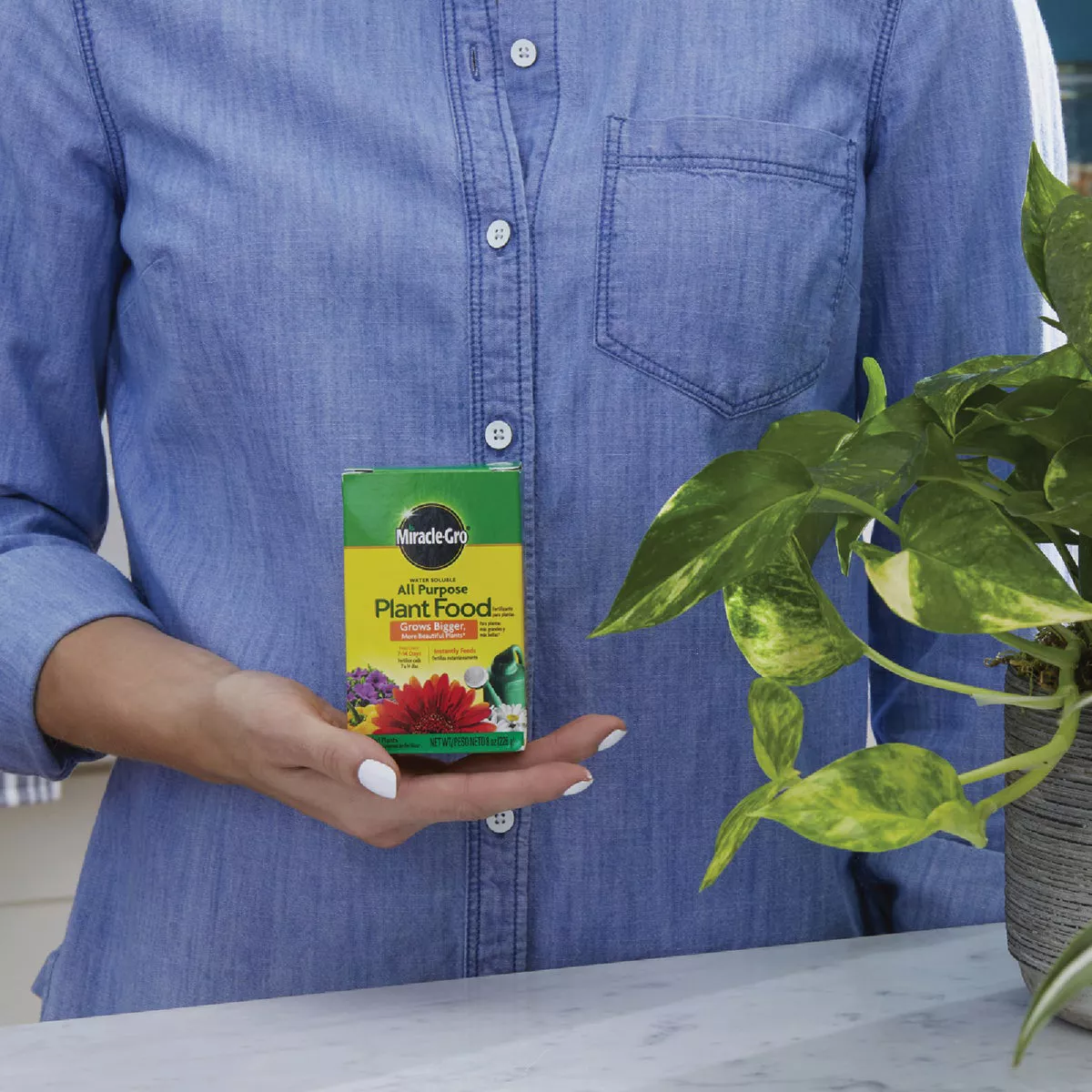 Miracle-Gro 8 Oz. Water Soluble All Purpose Plant Food - photo 3