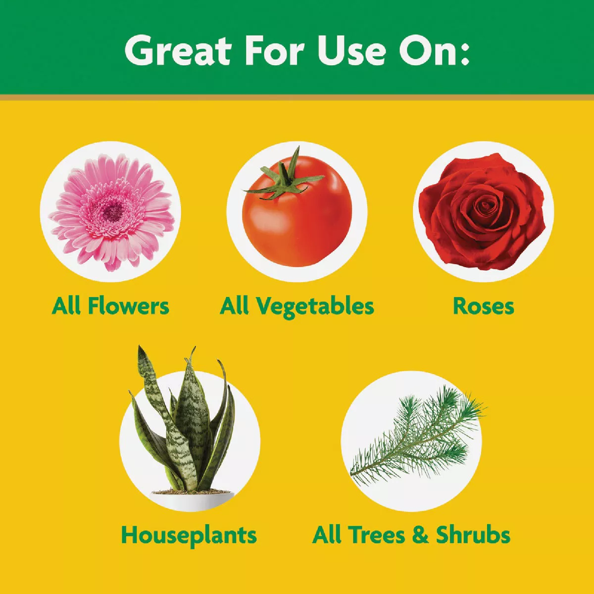Miracle-Gro 8 Oz. Water Soluble All Purpose Plant Food - photo 4