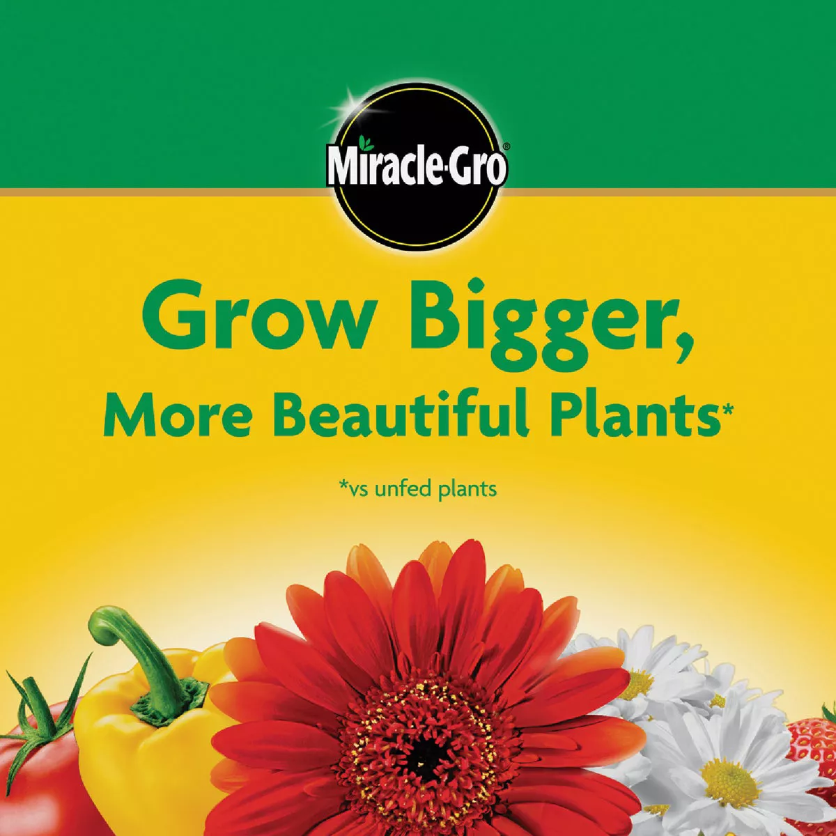 Miracle-Gro 8 Oz. Water Soluble All Purpose Plant Food - photo 7