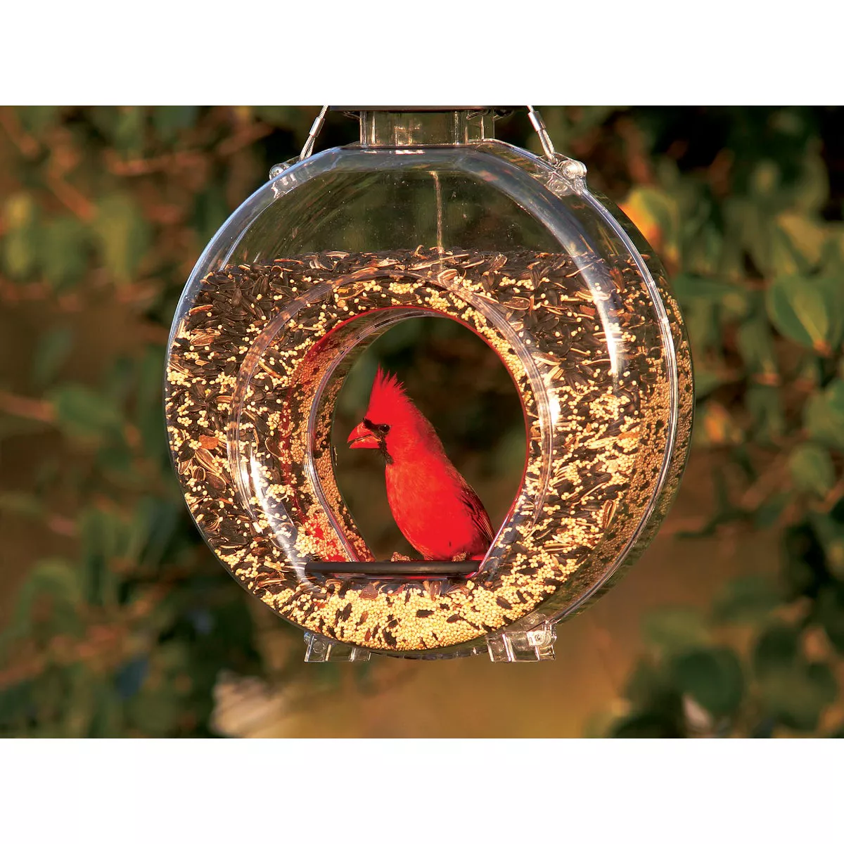 Stokes Select Clear Plastic 4.7 Lb. Capacity Canteen Bird Feeder - photo 7