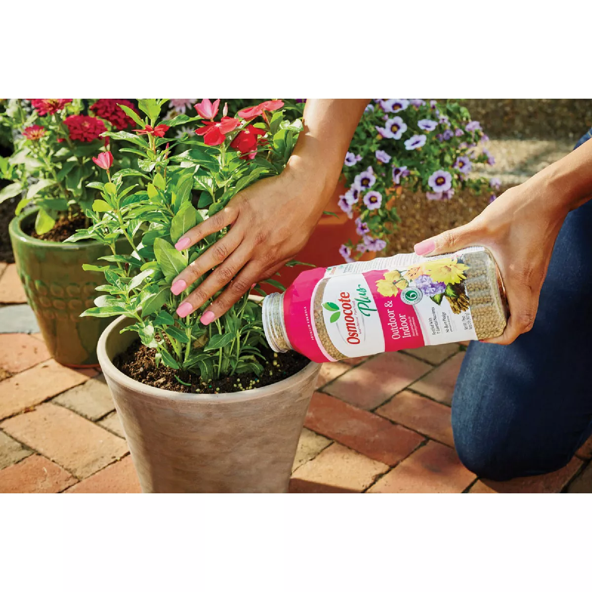 Osmocote Smart-Release Plus 2 Lb. Outdoor & Indoor Plant Food - photo 4