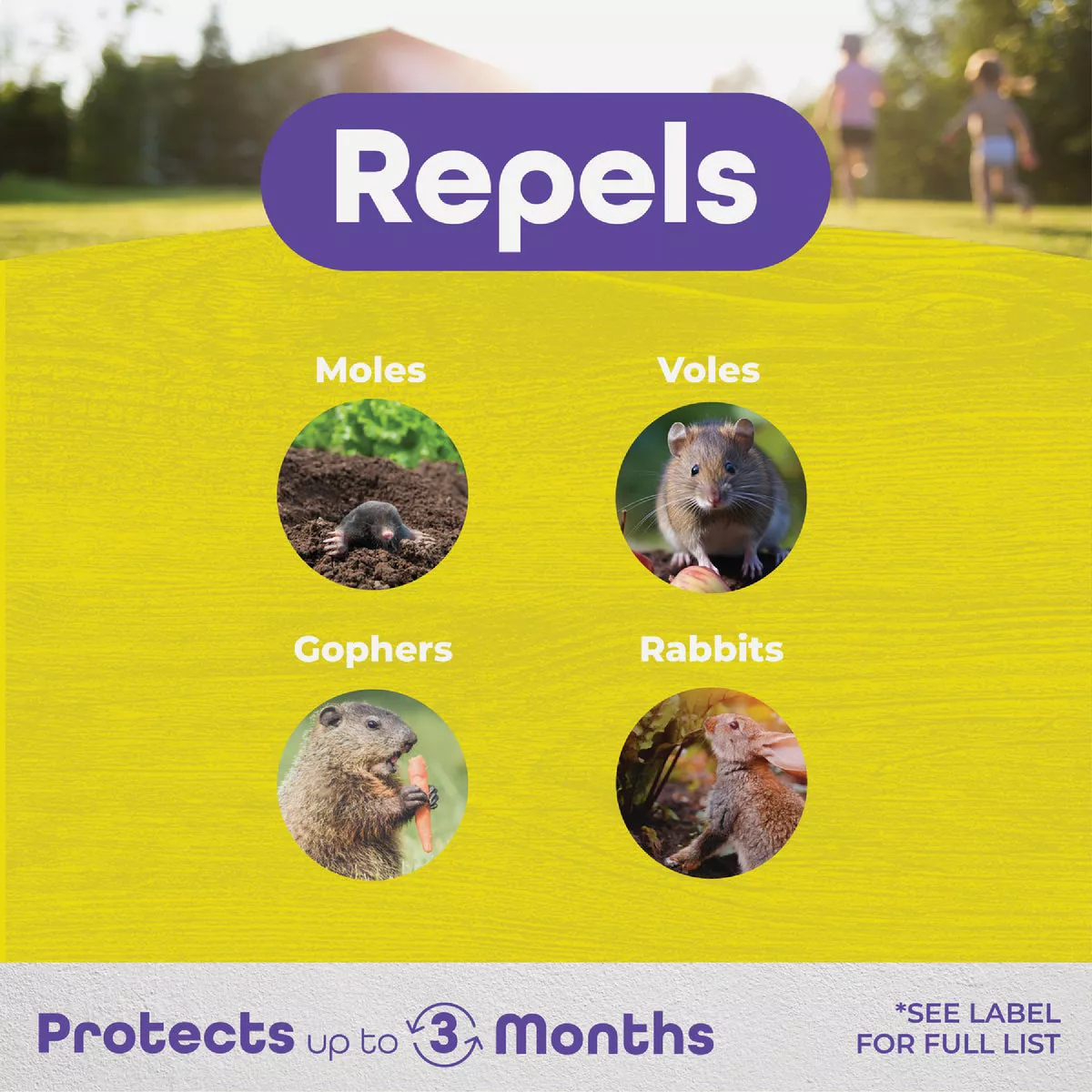 Bonide MOLEMAX 5 Lb. Granules Mole & Vole Repellent - photo 4