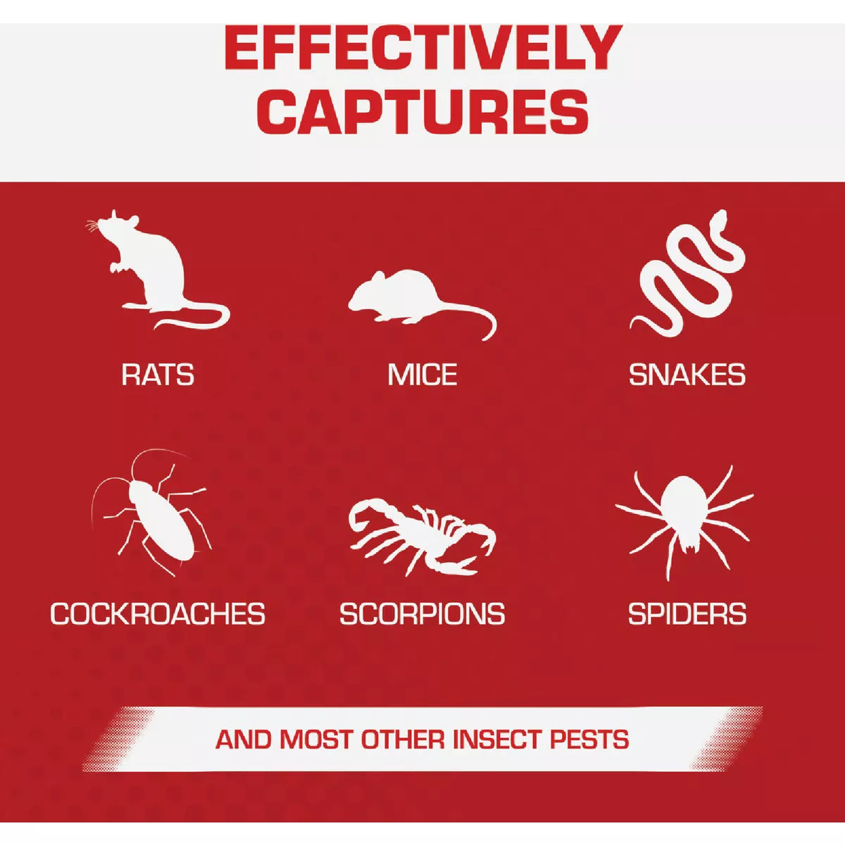 TOMCAT Rat Size Mouse Glue Trap (2-Pack) - photo 4