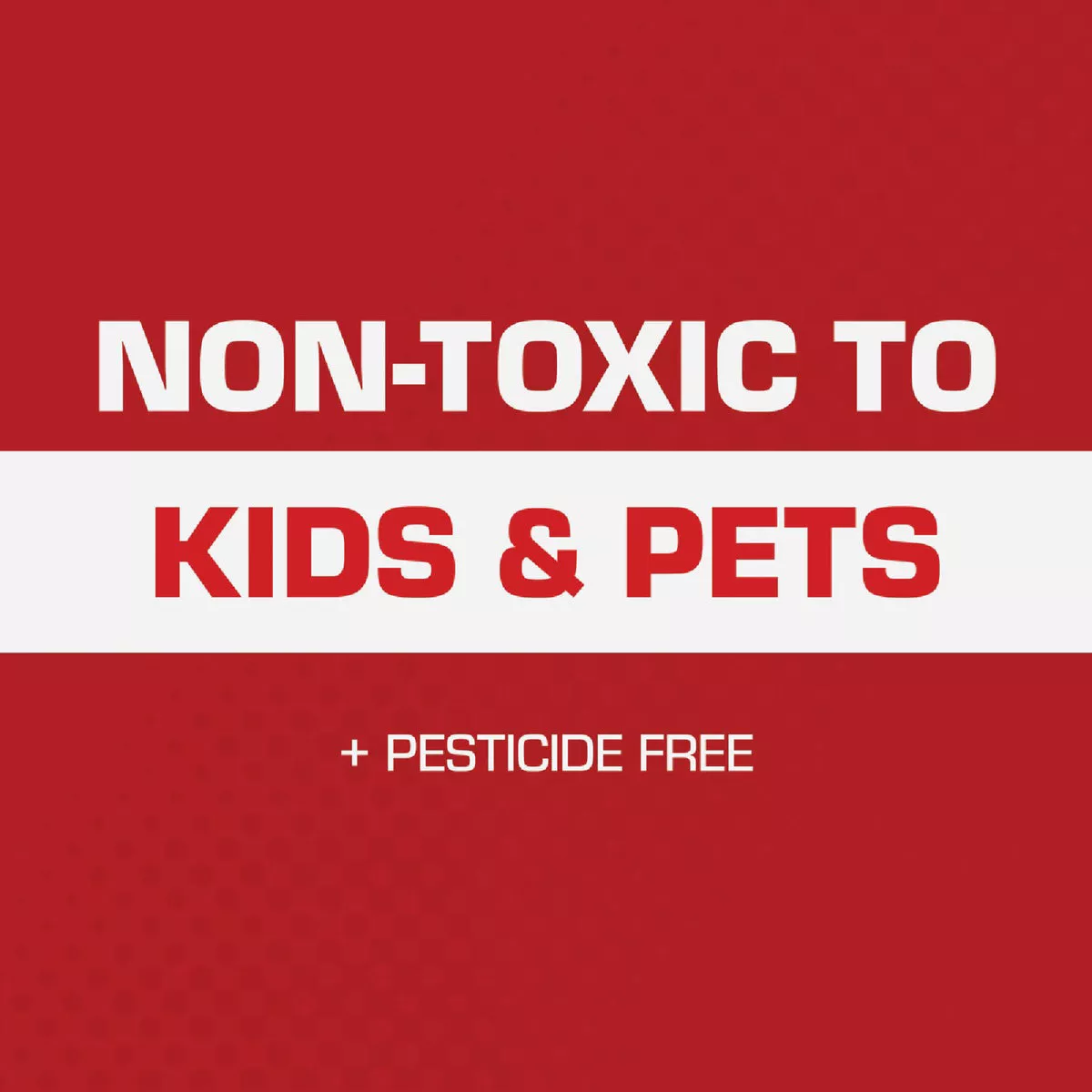 TOMCAT Rat Size Mouse Glue Trap (2-Pack) - photo 5