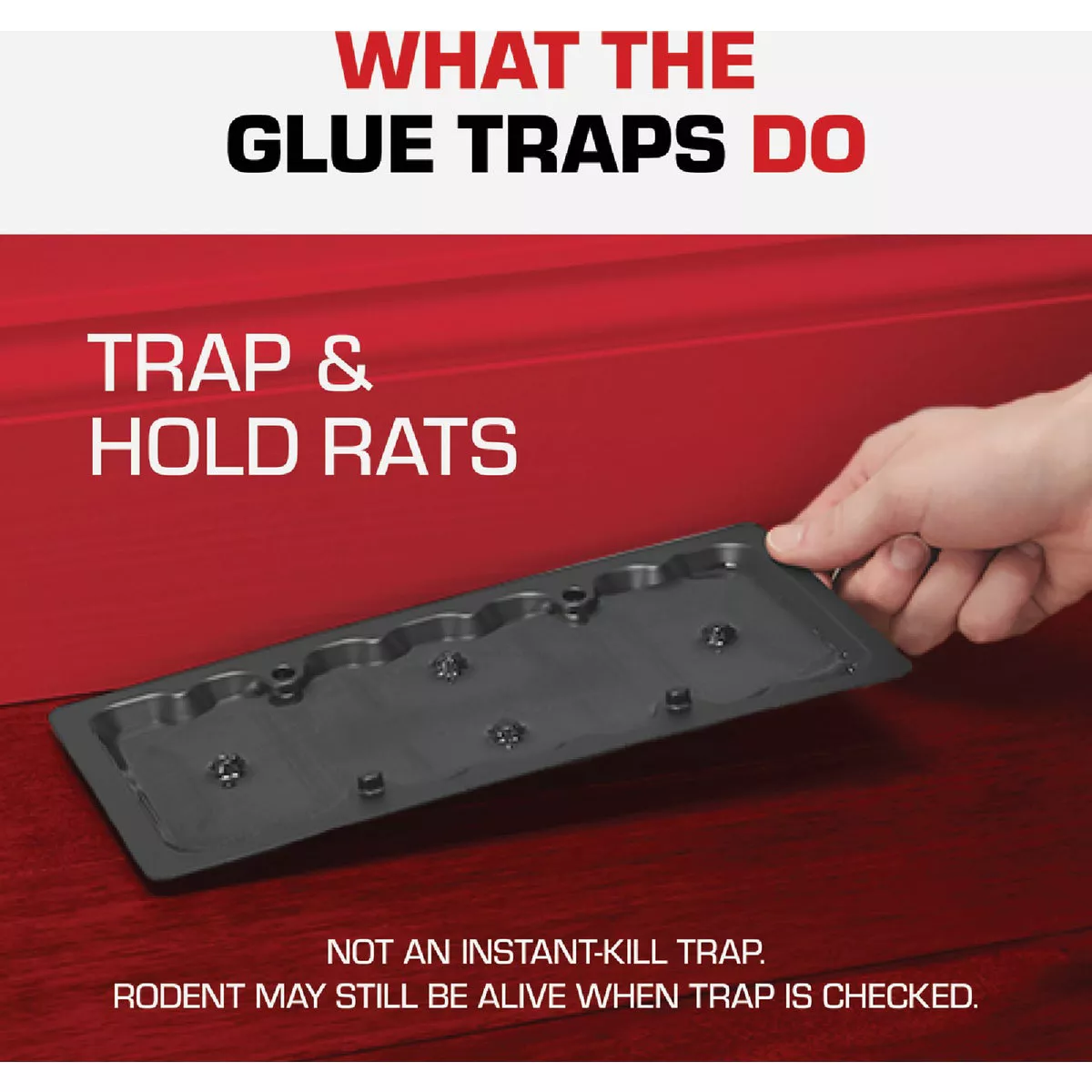 TOMCAT Rat Size Mouse Glue Trap (2-Pack) - photo 6