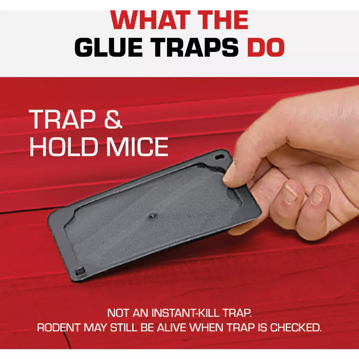 TOMCAT Mouse Size Glue Trap (4-Pack) - photo 7