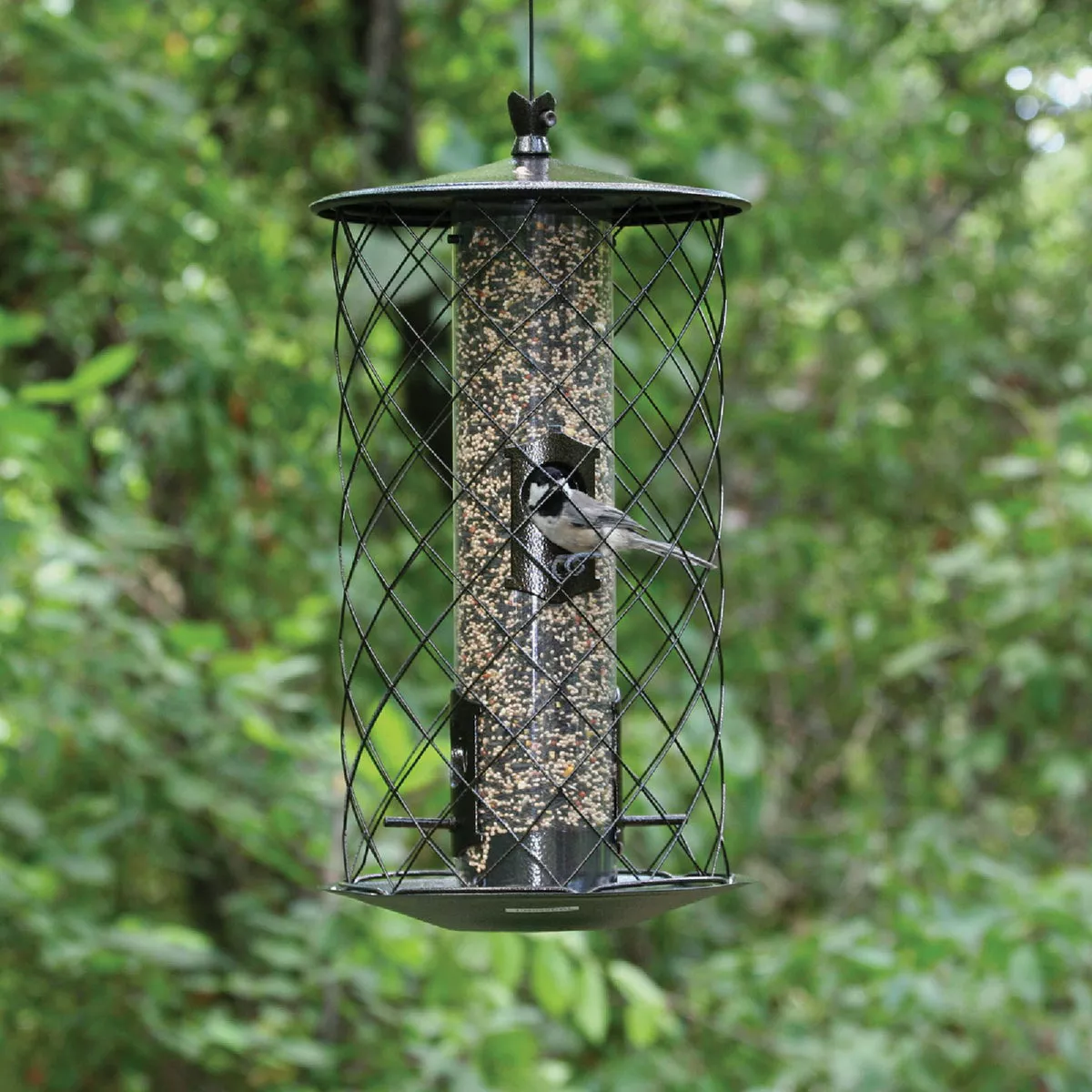 Perky-Pet The Preserve Black 3 Lb. Capacity Wild Bird Feeder - photo 4