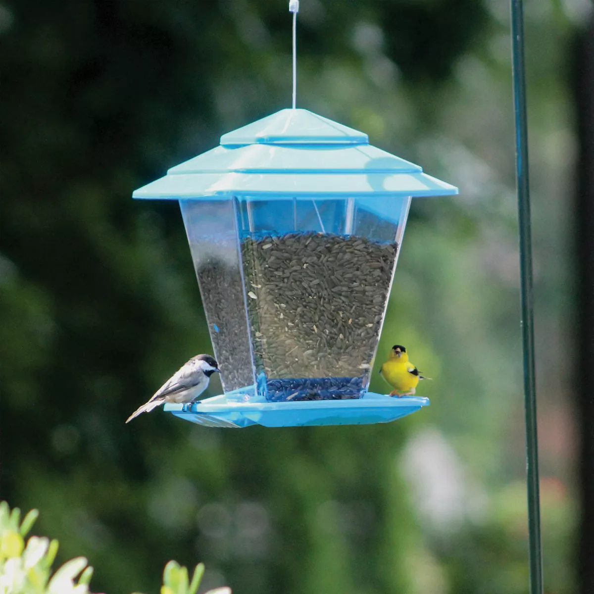 More Birds Plastic 6.6 Lb. Capacity Square Seed Hopper Bird Feeder - photo 2