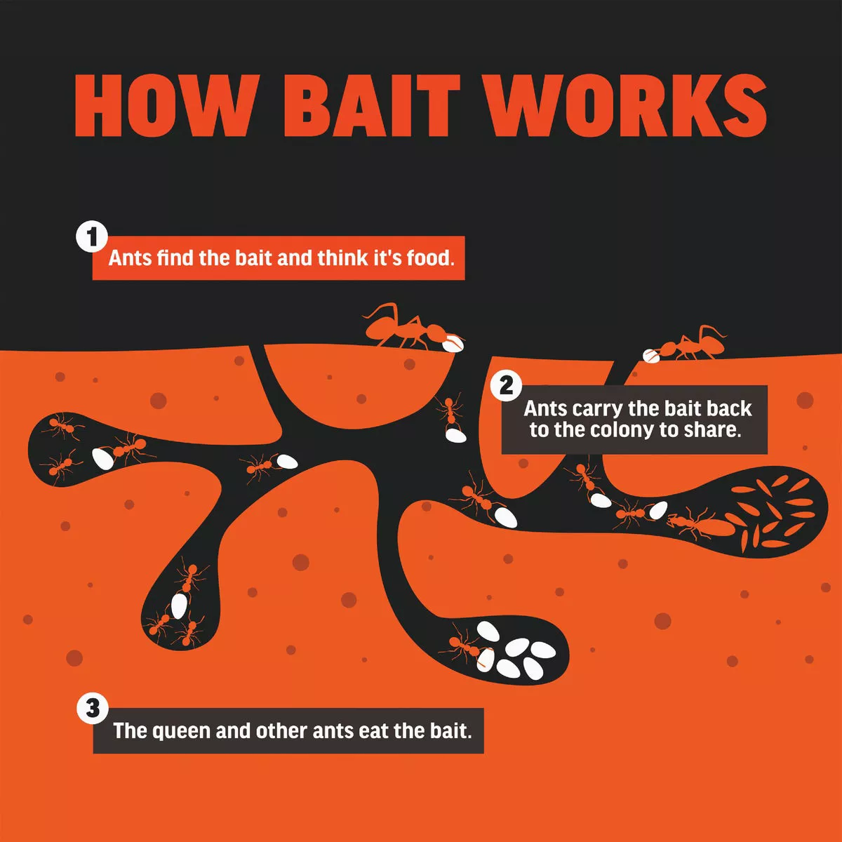 Amdro 5 Lb. Ready To Use Granules Fire Ant Killer Yard Treatment - photo 4