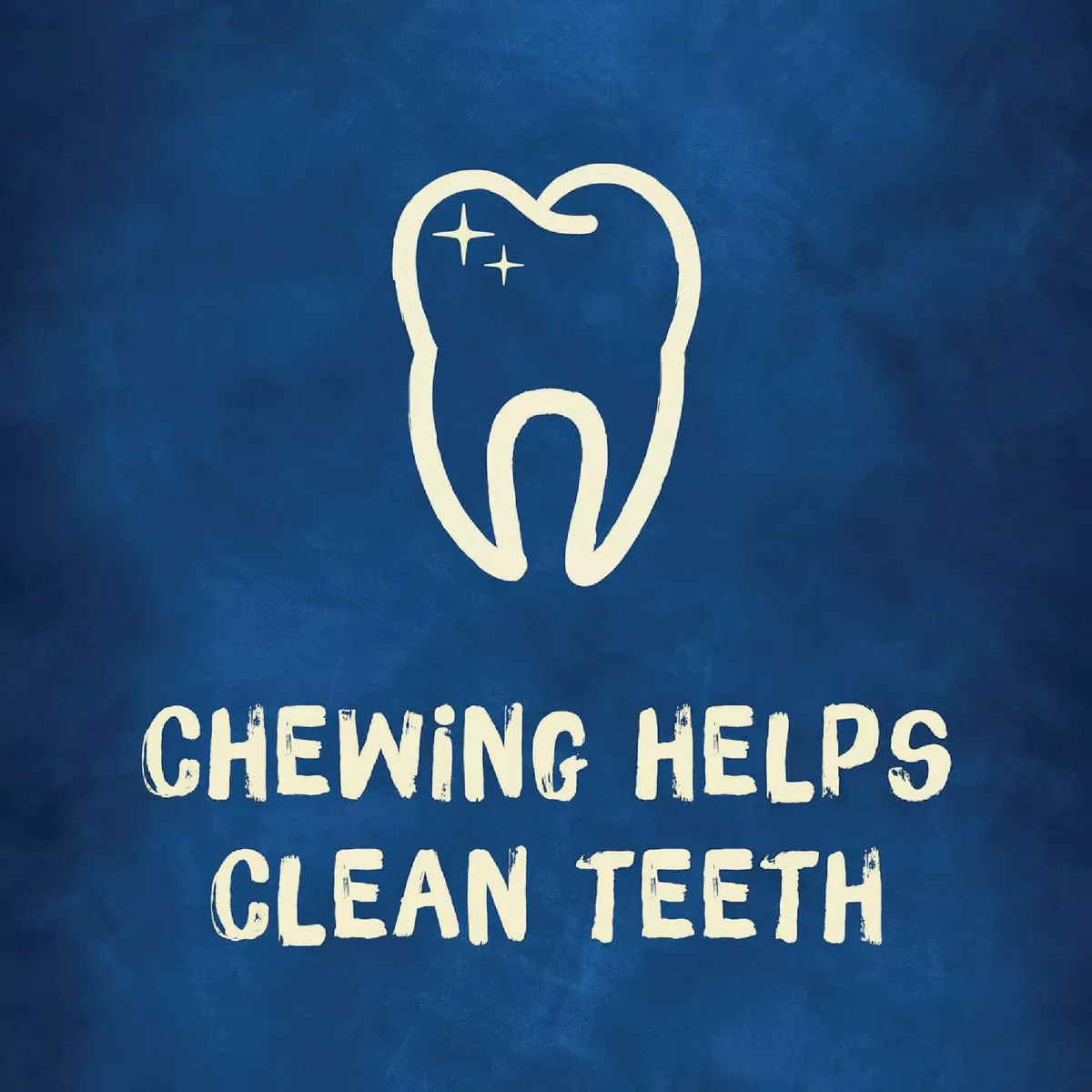 Purina Busy Bone Toy Dog Meat Flavor Dental Dog Treat (4-Pack) - photo 6