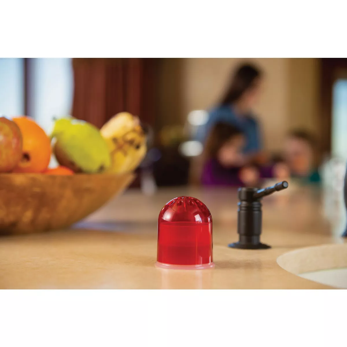 Rescue Granular Indoor Fruit Fly Bait (2-Pack) - photo 3