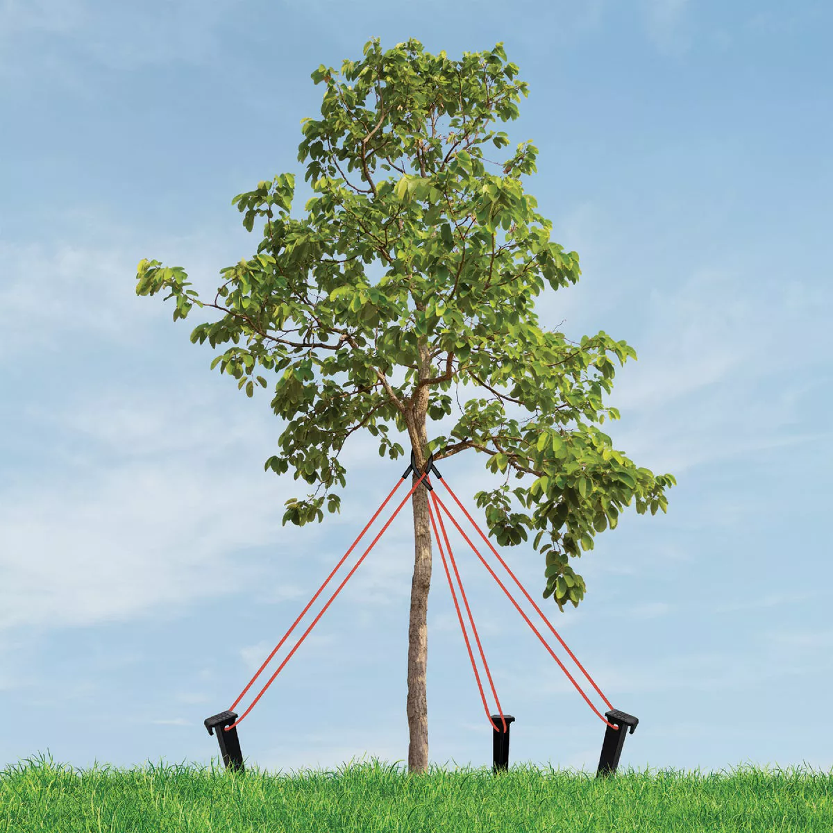 Master Mark Heavy-Duty Plastic Tree Stake Kit - photo 3