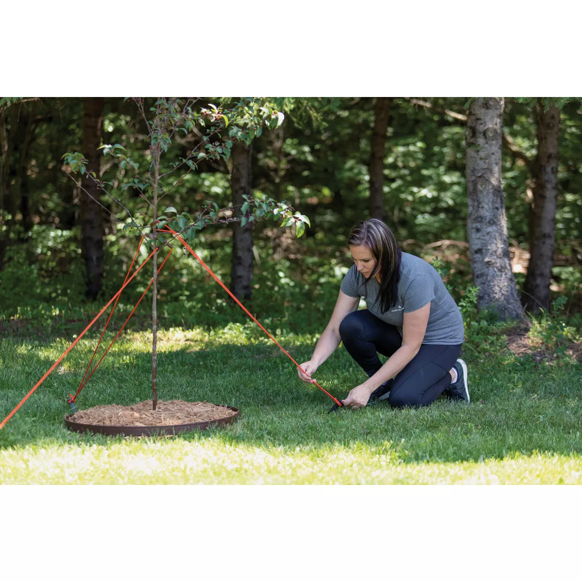 Master Mark Heavy-Duty Plastic Tree Stake Kit - photo 2