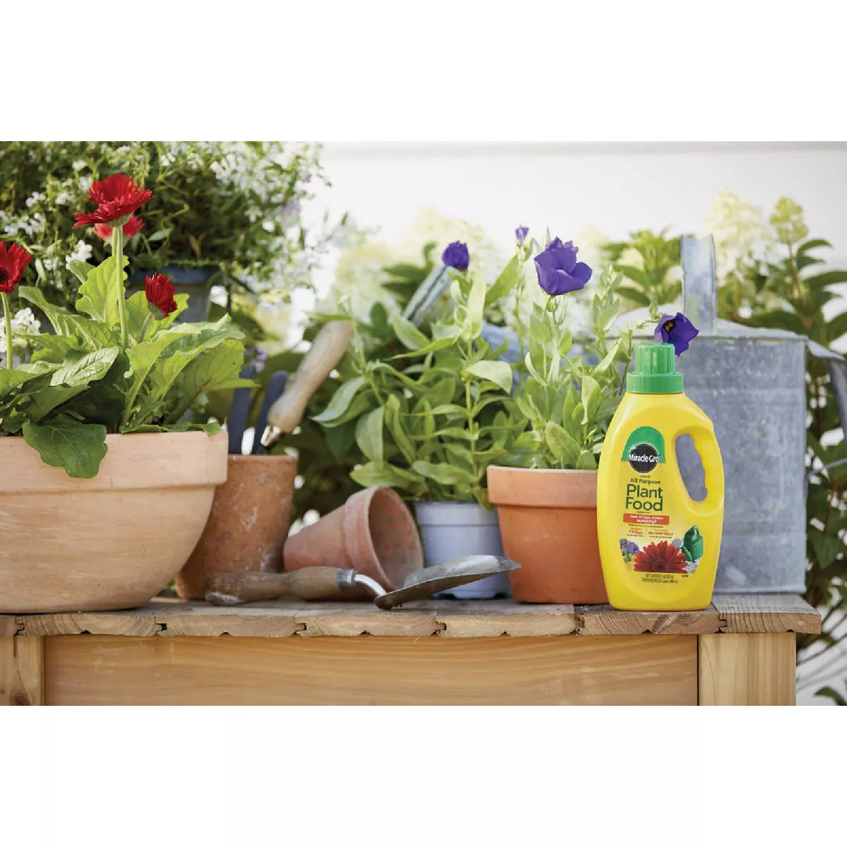 Miracle-Gro 32 Oz. Liquid All Purpose Plant Food - photo 3