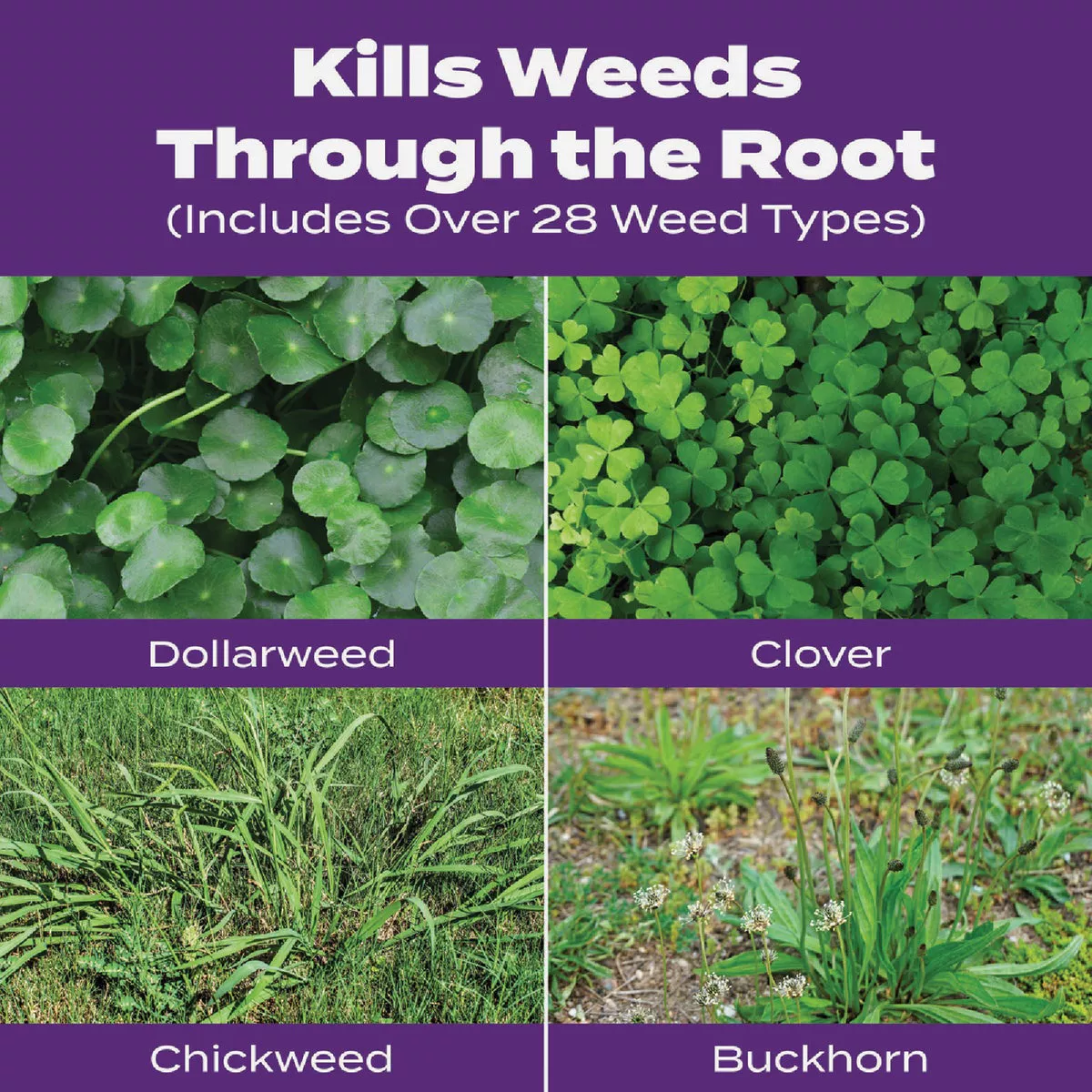 Scotts Turf Builder Bonus S Southern Weed & Feed 18.21 Lb. 5000 Sq. Ft. Weed Killer Plus Lawn Fertilizer - photo 3