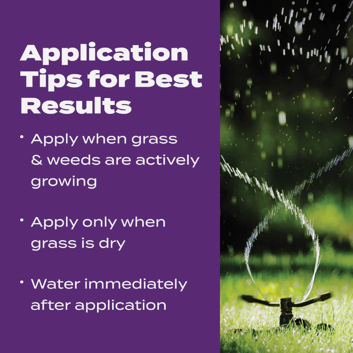 Scotts Turf Builder Bonus S Southern Weed & Feed 18.21 Lb. 5000 Sq. Ft