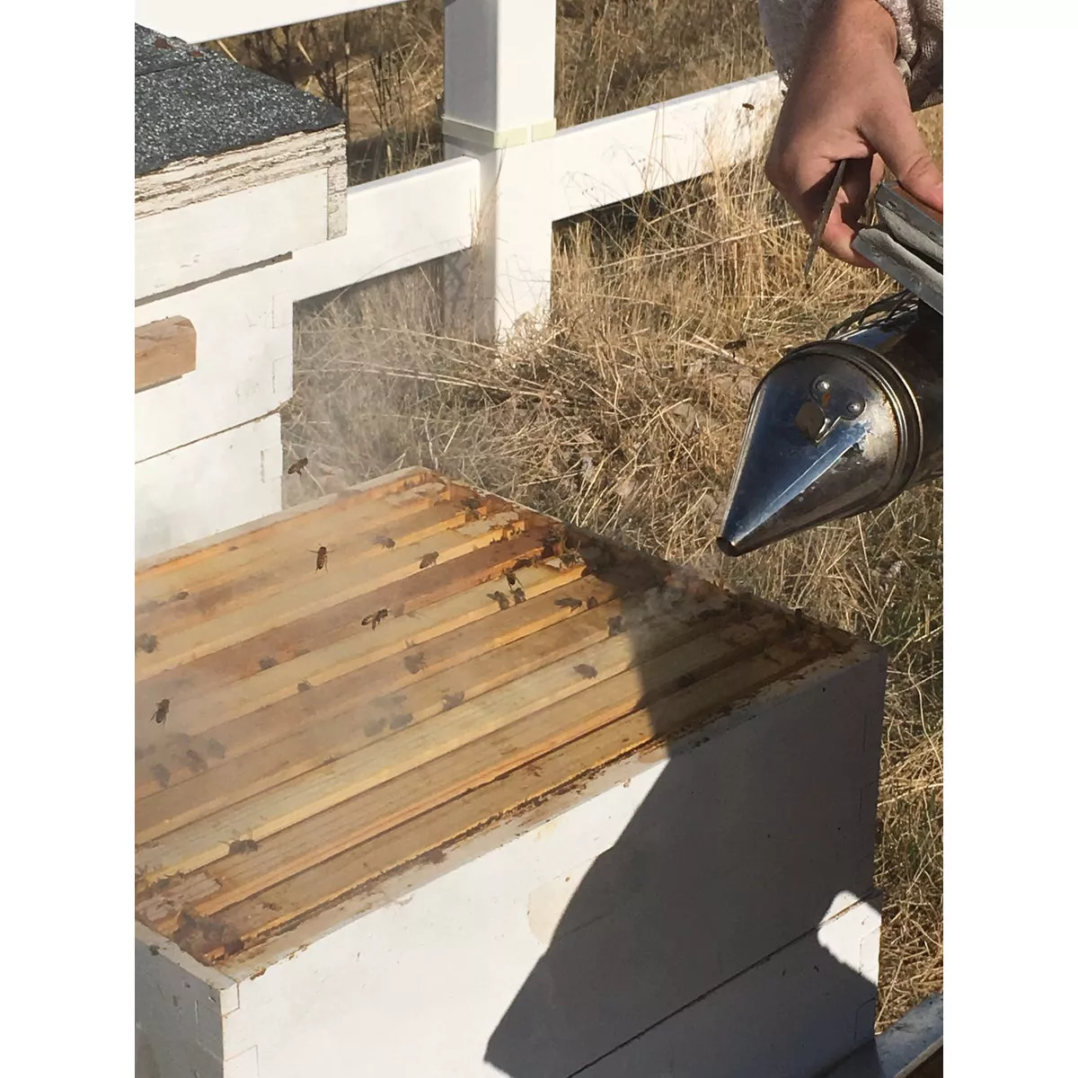 Harvest Lane Honey Stainless Steel Beekeeping Smoker - photo 2