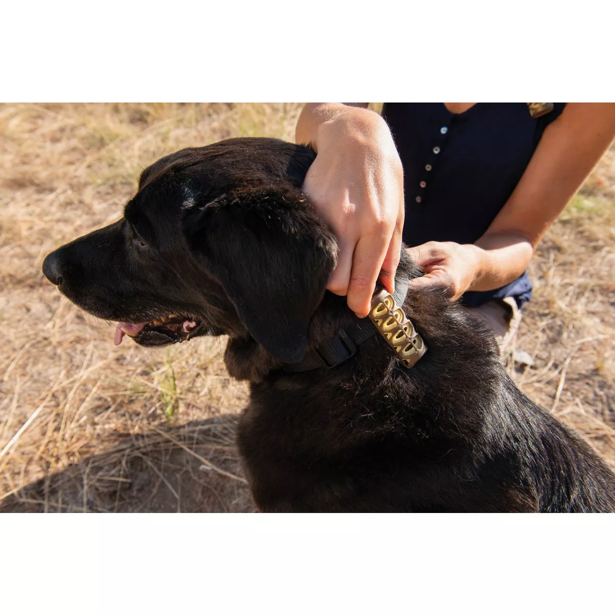 Rescue GoClip 6-Day Yellow Personal Mosquito Repellent - photo 2